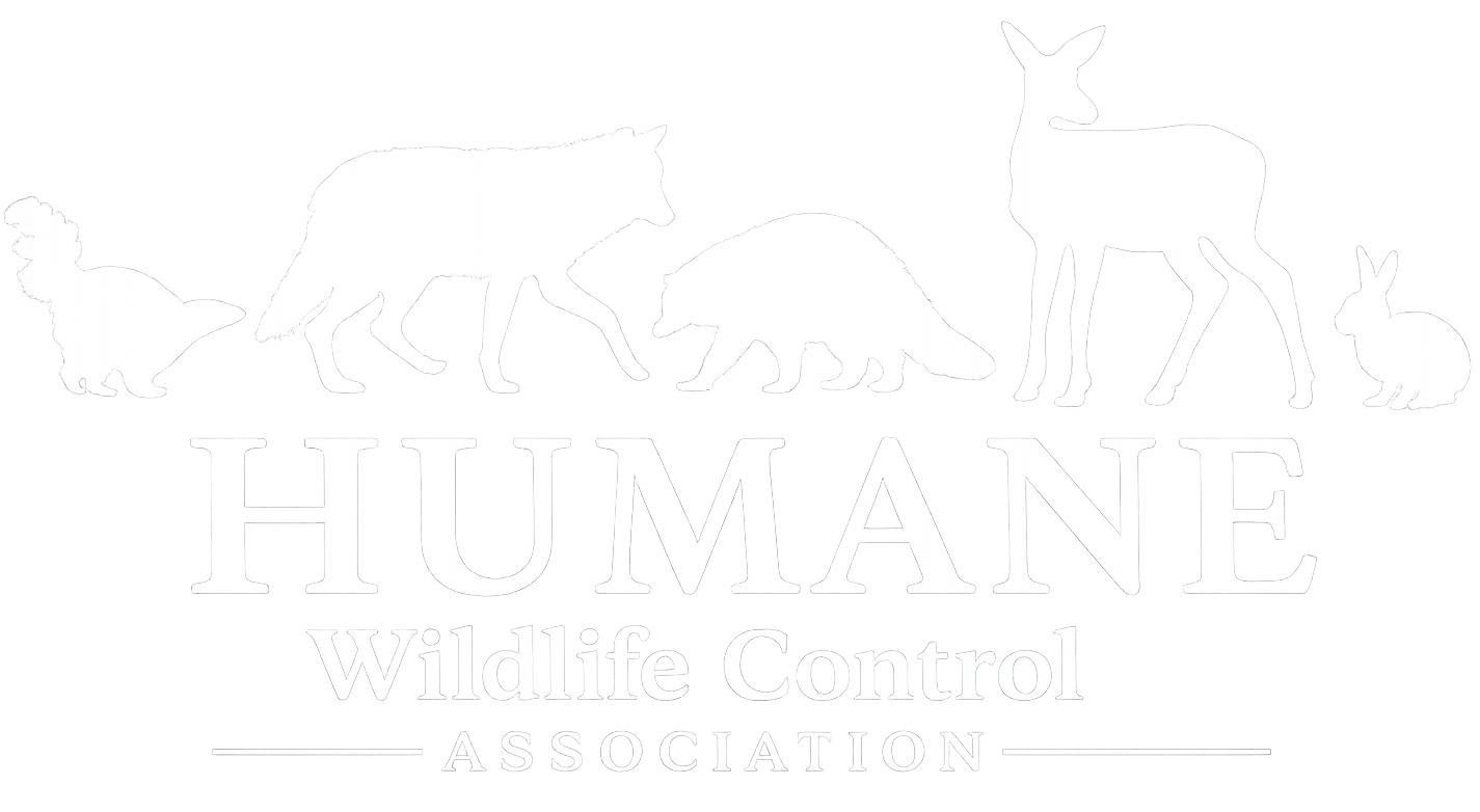 HWCA-logo